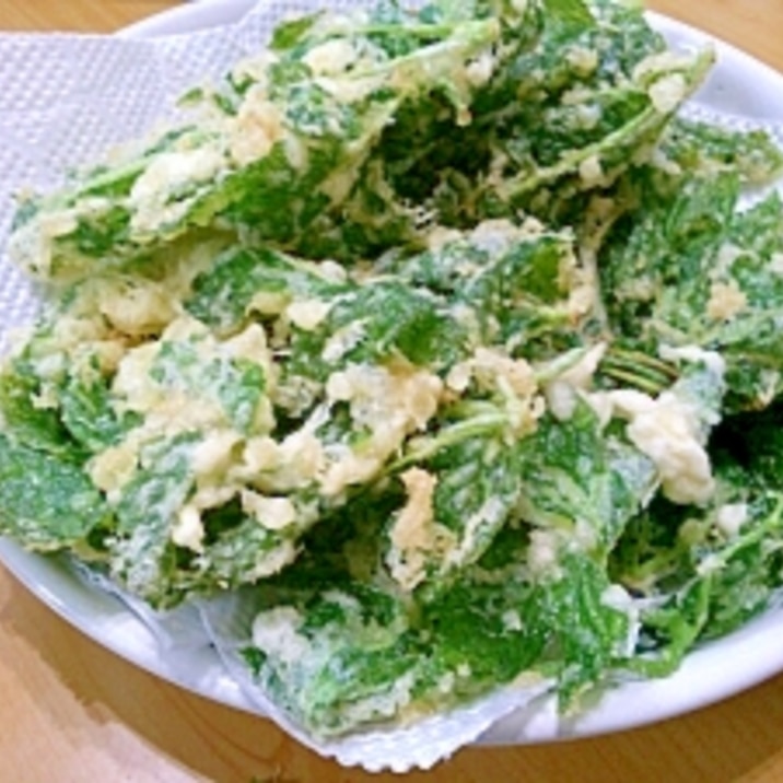 明日葉の天ぷら レシピ 作り方 By Pontadelax 楽天レシピ